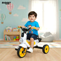 Musical Baby Tricycle