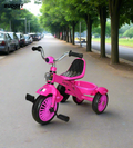 Baby Metal Frame Tricycle