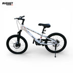 20-Inch Mountain Bicycle