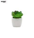 Mini Artificial Succulent in Ceramic Pot