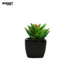 Mini Artificial Succulent in Ceramic Pot