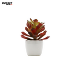 Mini Artificial Succulent in Ceramic Pot