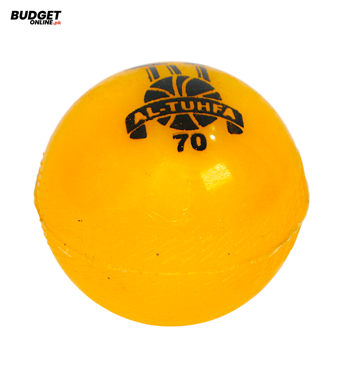 Cricket Practice Ball 70g