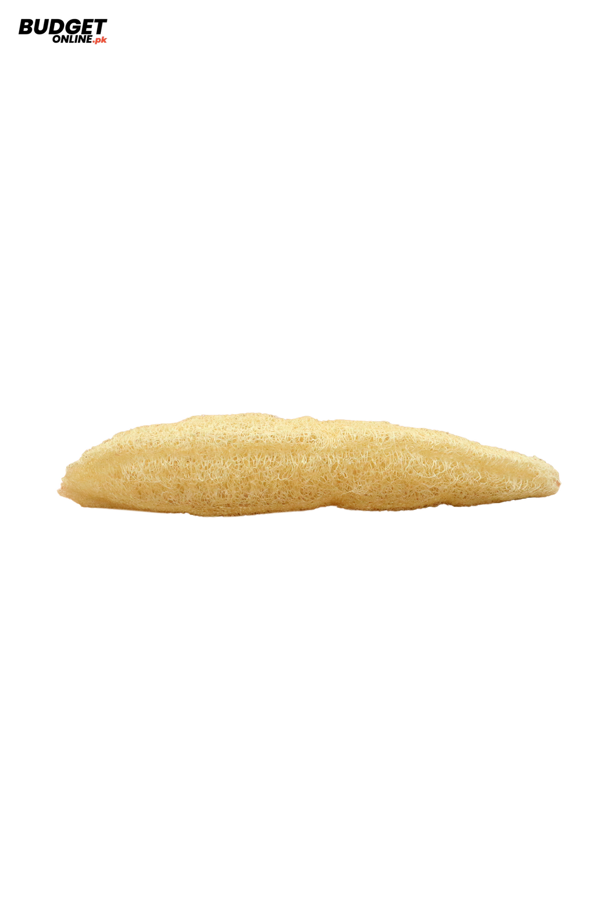 Desi Bath Sponge