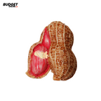 Assorted Fruit Refrigerator Magnet