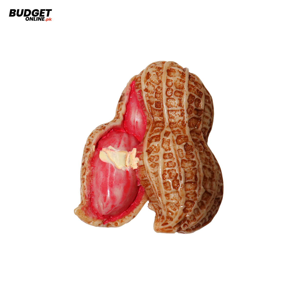 Assorted Fruit Refrigerator Magnet