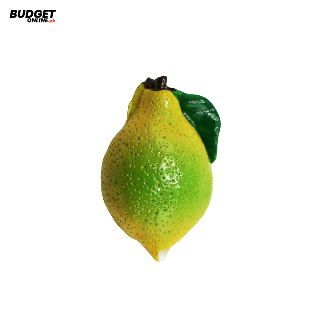 Assorted Fruit Refrigerator Magnet