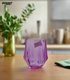 300ml Acrylic Drinking Glass