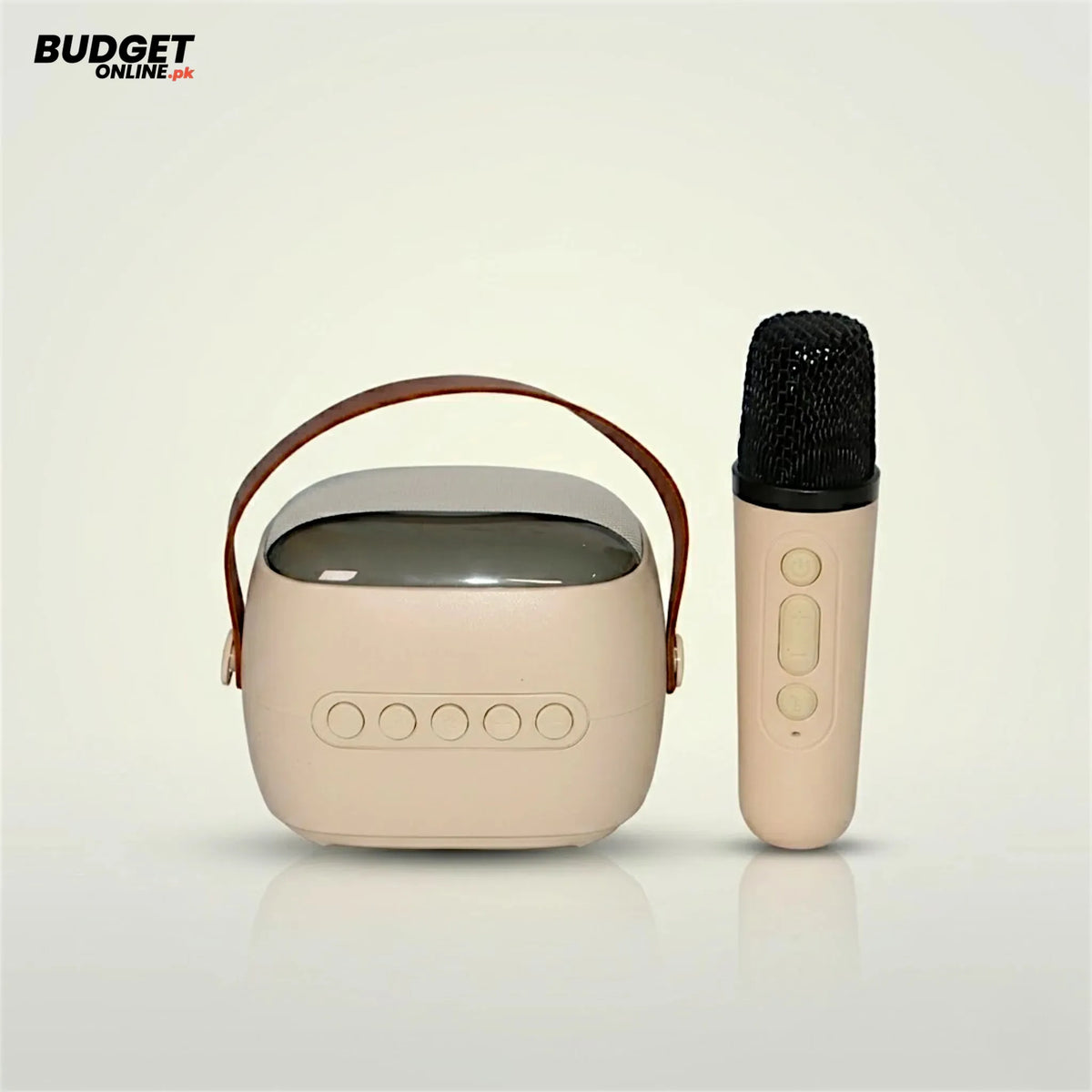 Wireless Karaoke Microphone With Bluetooth Speaker