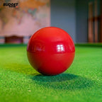 Imported Multicolor Snooker Ball