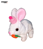 Musical Rabbit Plush Toy