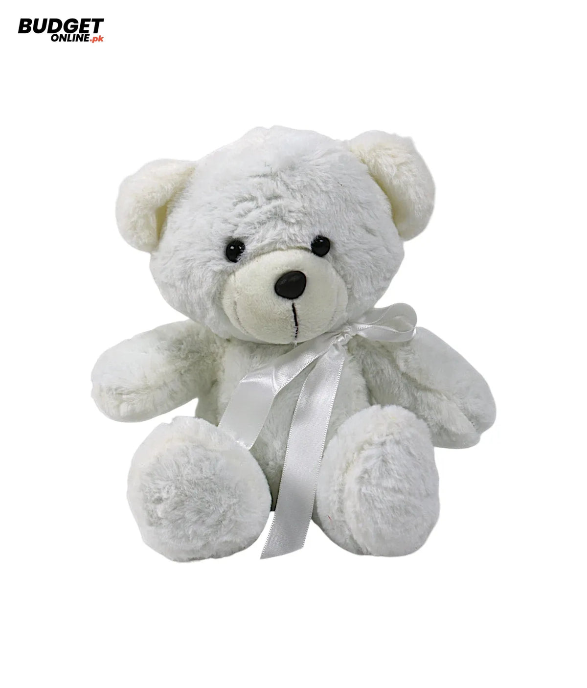 Small White Plush Teddy Bear